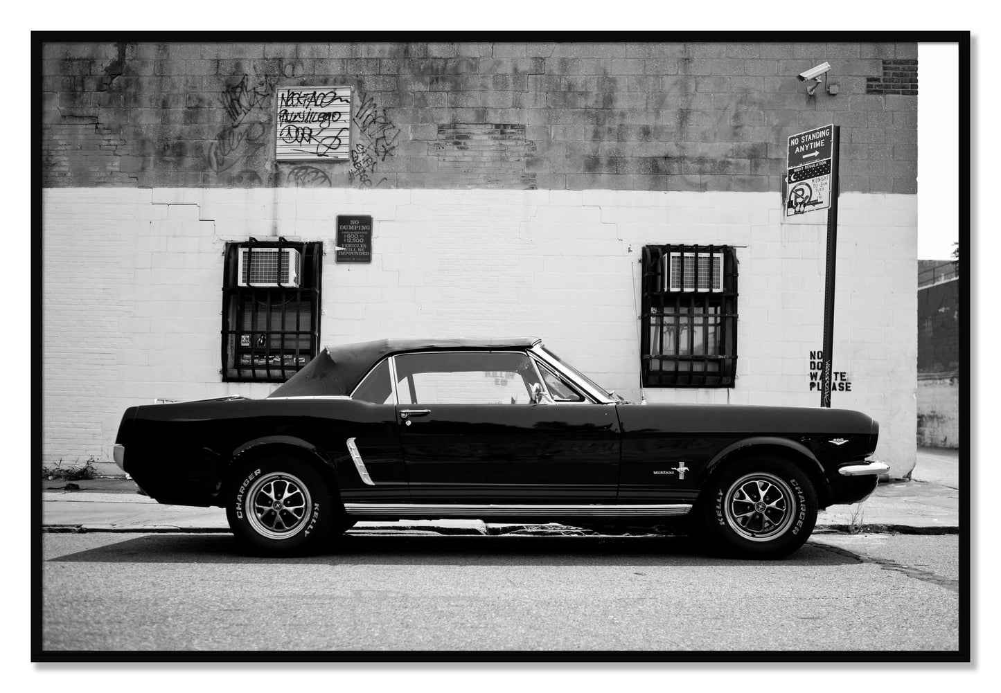 Framed photograph of Mustang by Dylan Ozanich, Black frame, Full Bleed