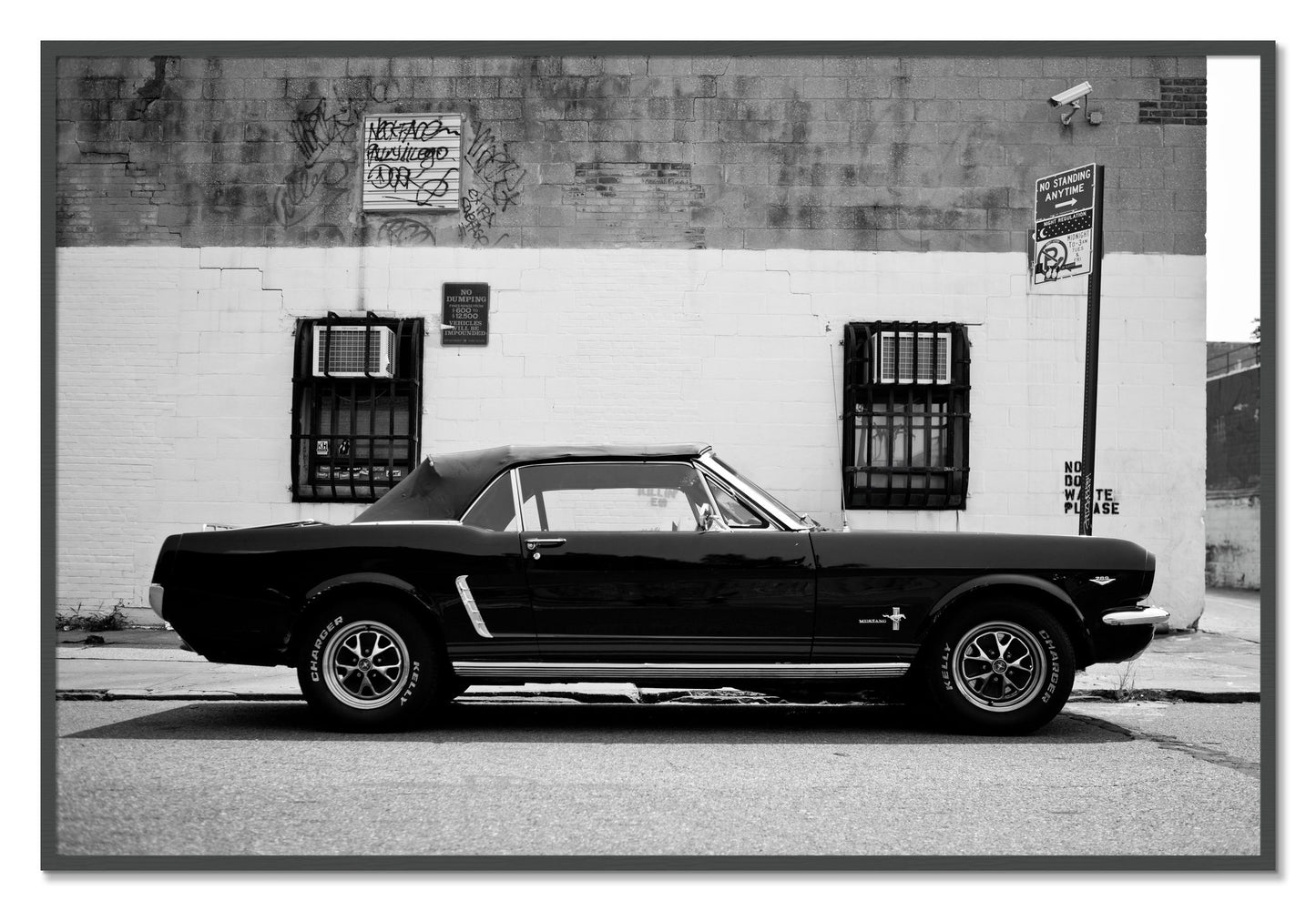 Framed photograph of Mustang by Dylan Ozanich, Grey frame, Full Bleed