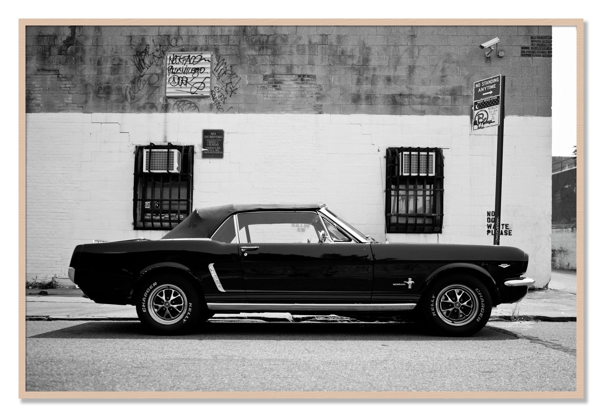 Framed photograph of Mustang by Dylan Ozanich, Maple frame, Full Bleed