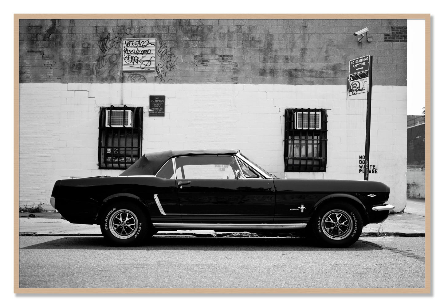 Framed photograph of Mustang by Dylan Ozanich, Oak frame, Full Bleed