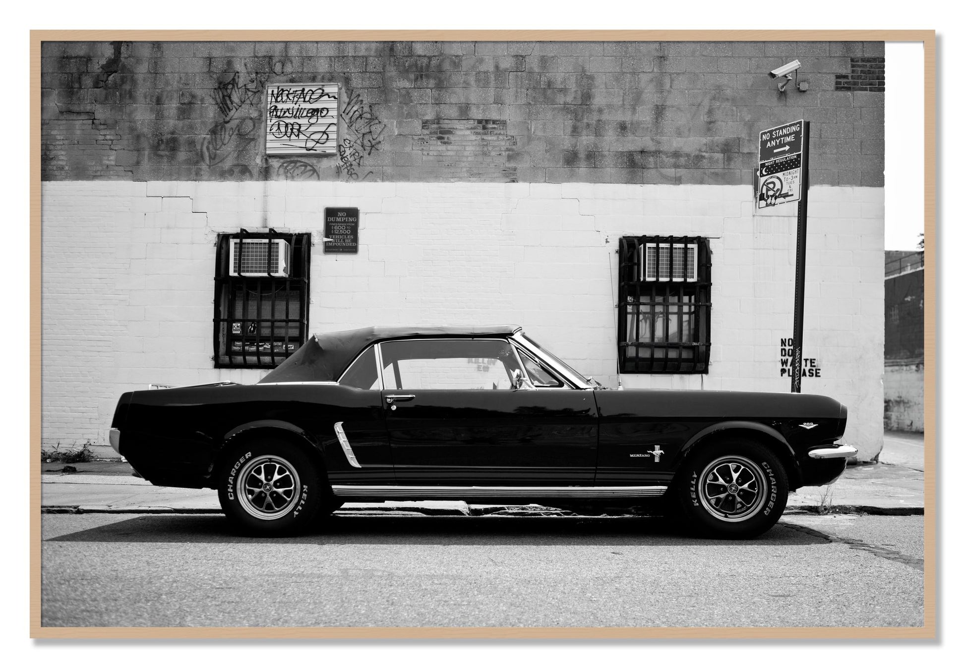 Framed photograph of Mustang by Dylan Ozanich, Oak frame, Full Bleed