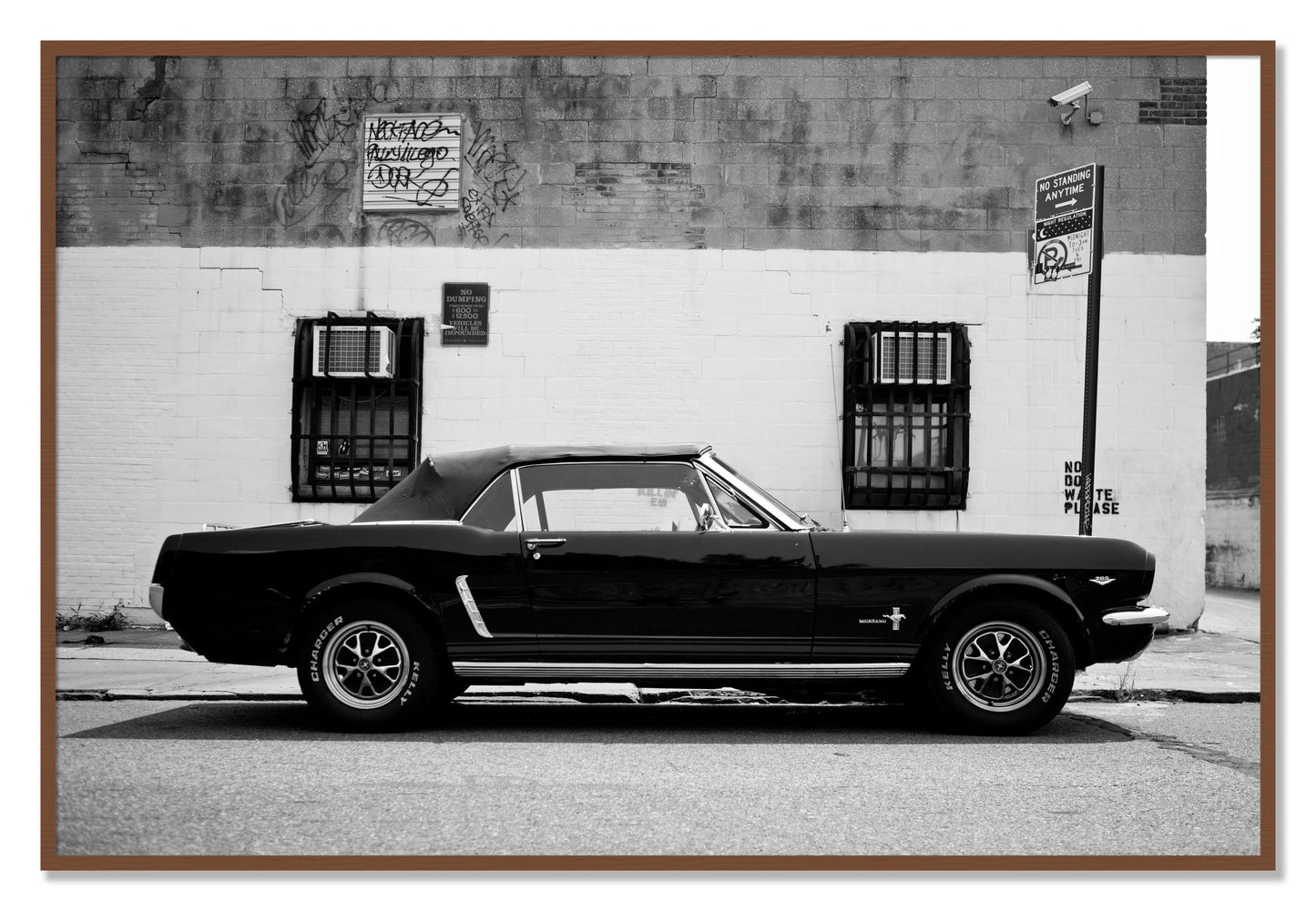 Framed photograph of Mustang by Dylan Ozanich, Walnut frame, Full Bleed
