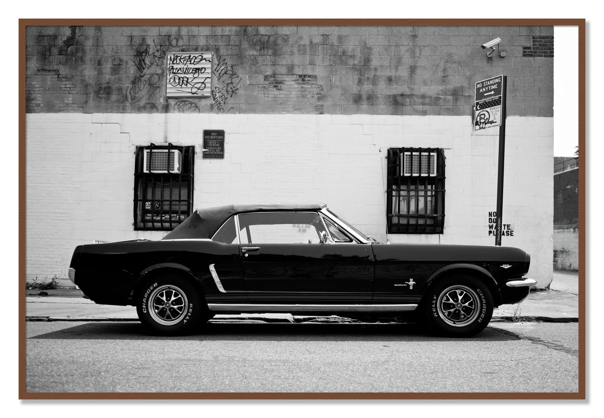 Framed photograph of Mustang by Dylan Ozanich, Walnut frame, Full Bleed