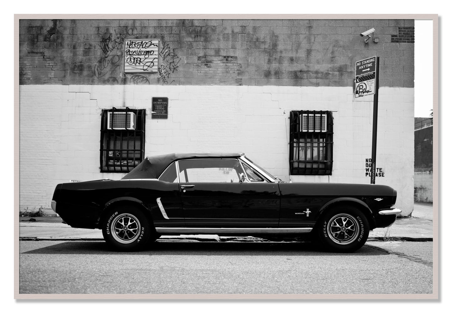 Framed photograph of Mustang by Dylan Ozanich, White Maple frame, Full Bleed
