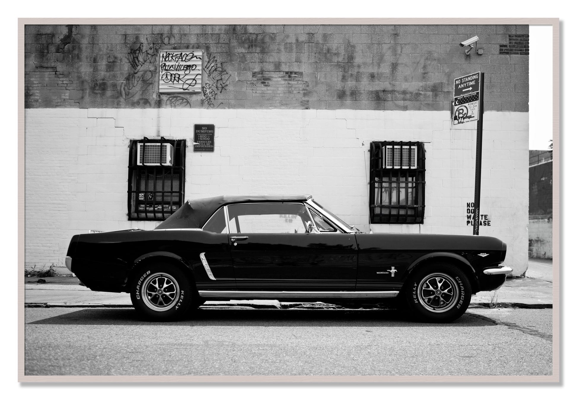 Framed photograph of Mustang by Dylan Ozanich, White Maple frame, Full Bleed
