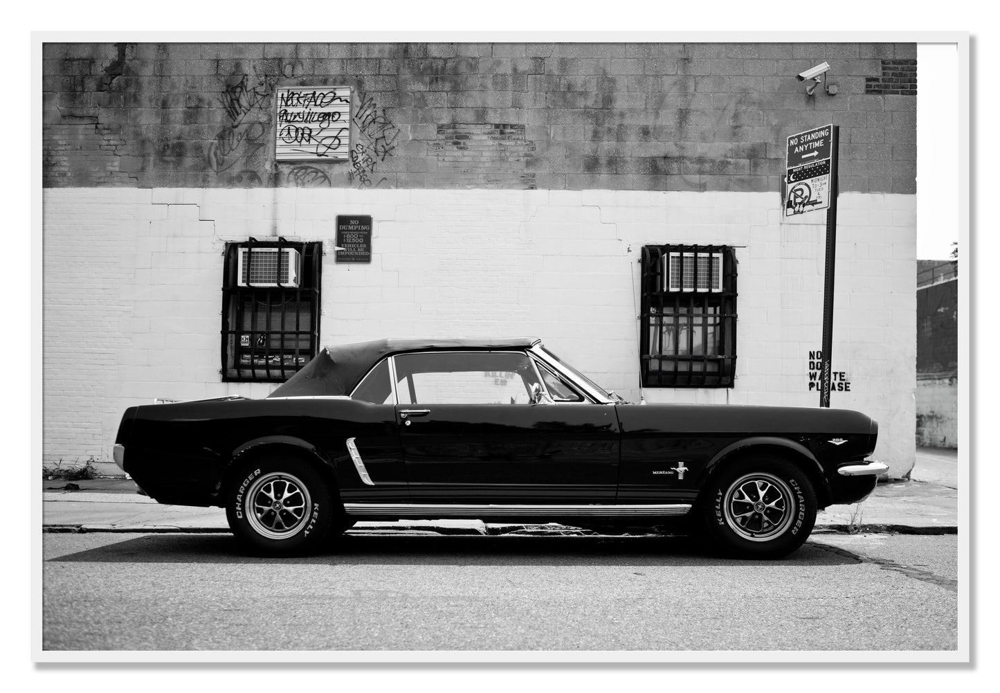 Framed photograph of Mustang by Dylan Ozanich, White frame, Full Bleed