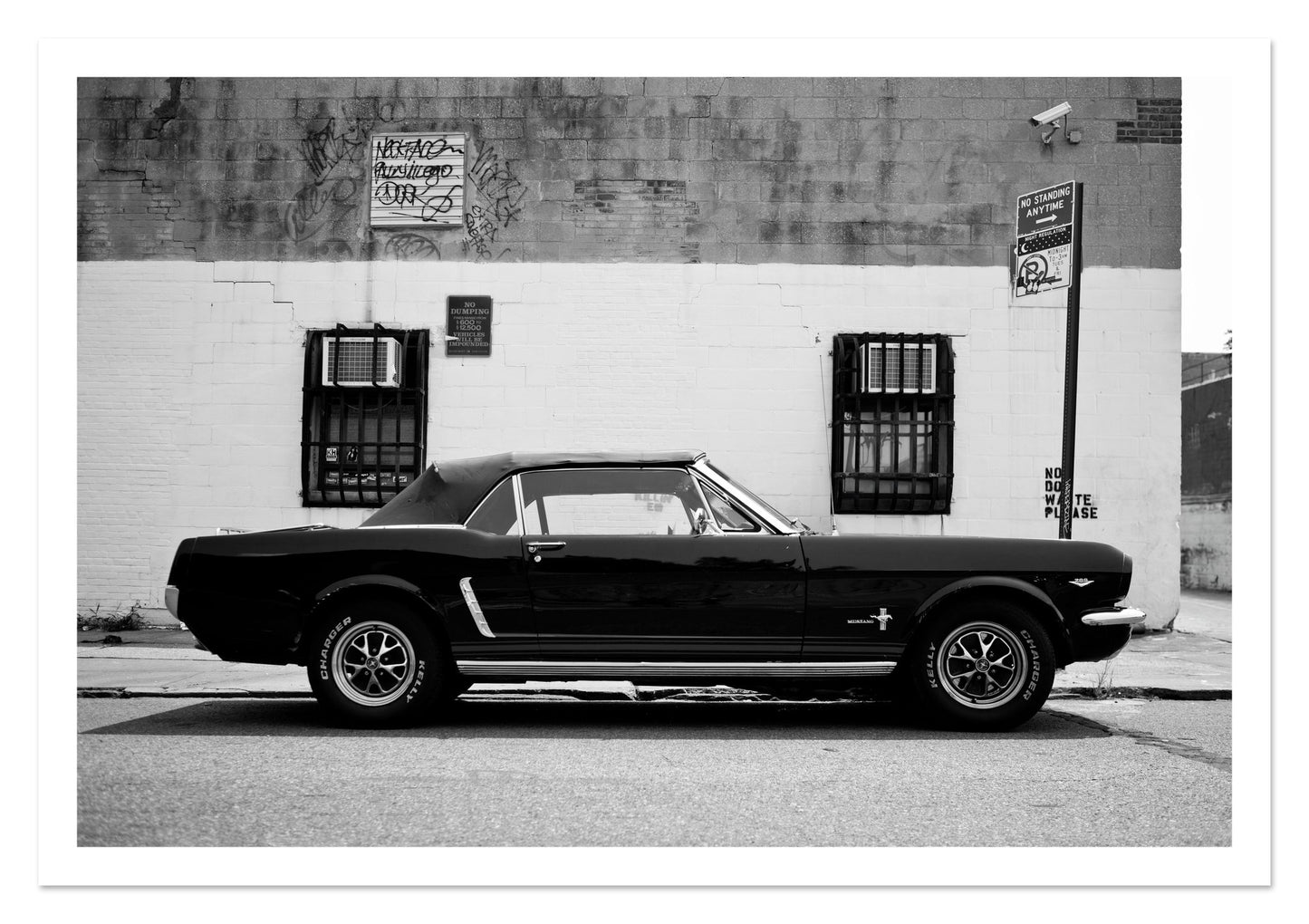 Fine art print of Mustang by Dylan Ozanich, unframed