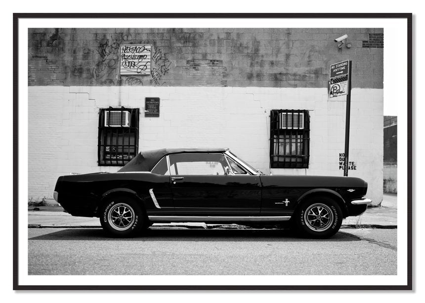 Framed photograph of Mustang by Dylan Ozanich, Black Walnut frame, Borders