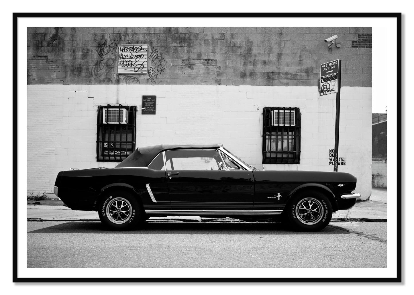 Framed photograph of Mustang by Dylan Ozanich, Black frame, Borders