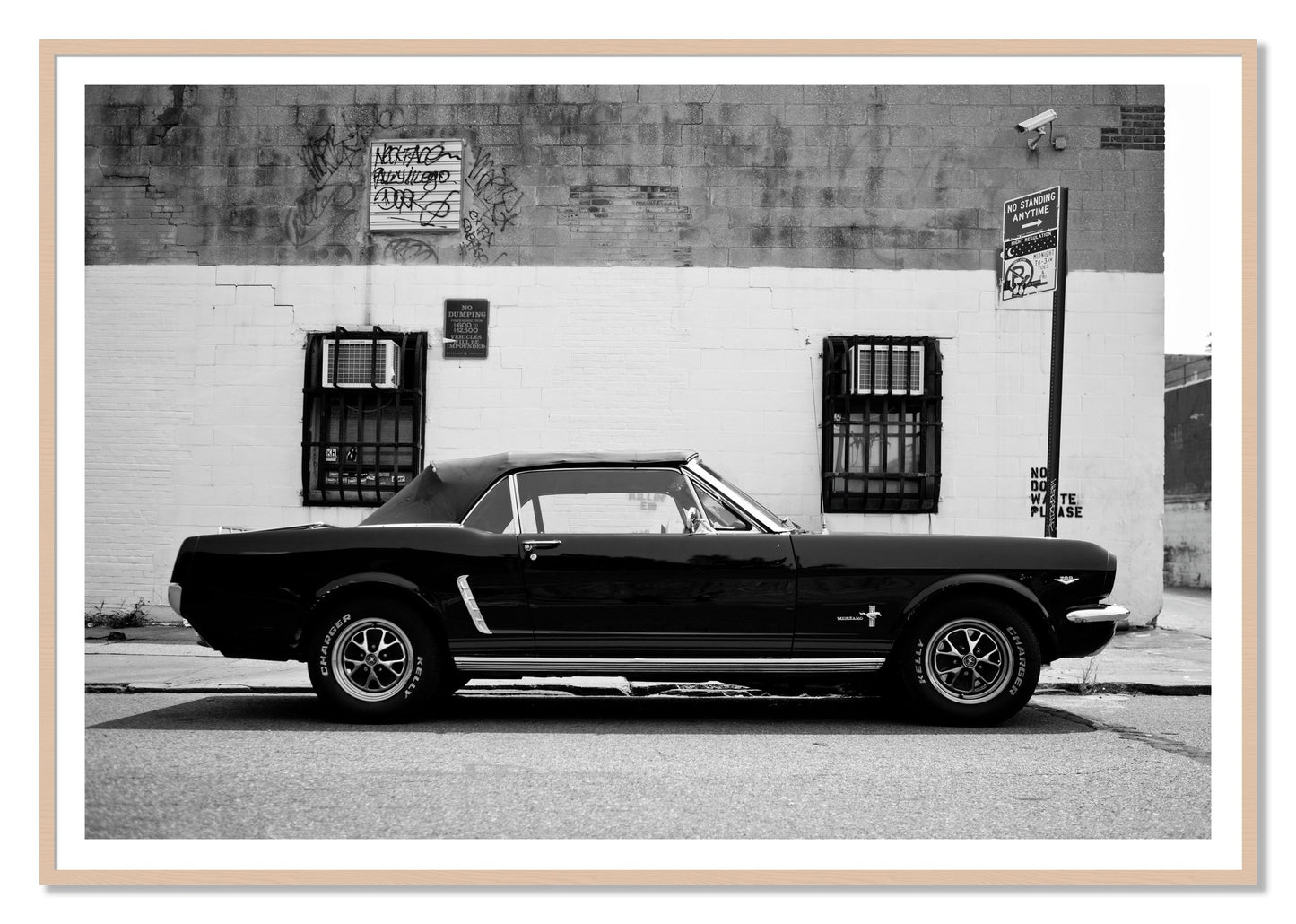 Framed photograph of Mustang by Dylan Ozanich, Maple frame, Borders