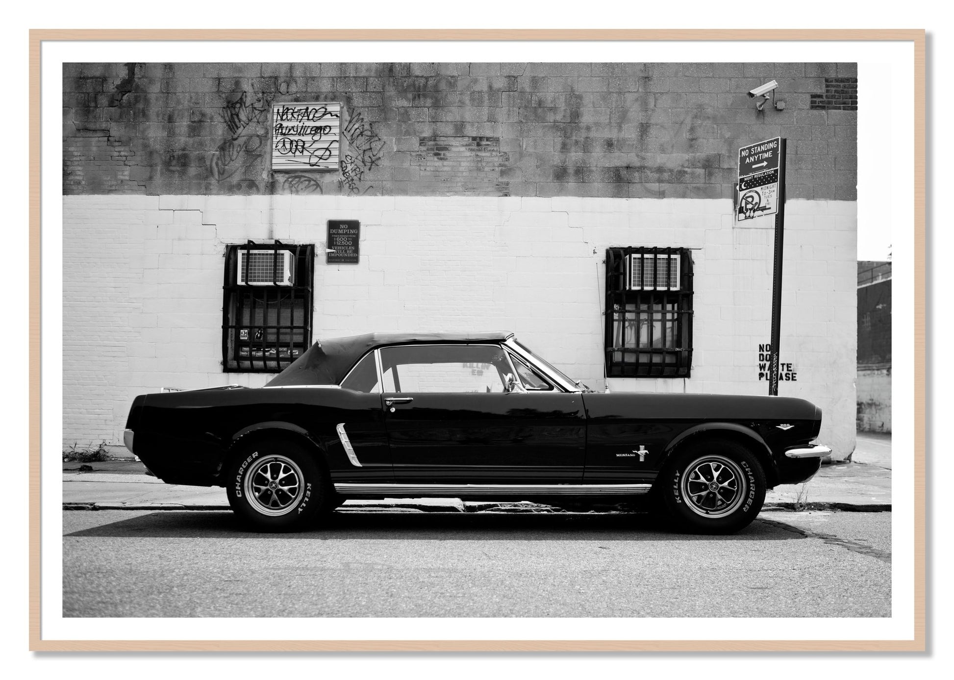 Framed photograph of Mustang by Dylan Ozanich, Maple frame, Borders
