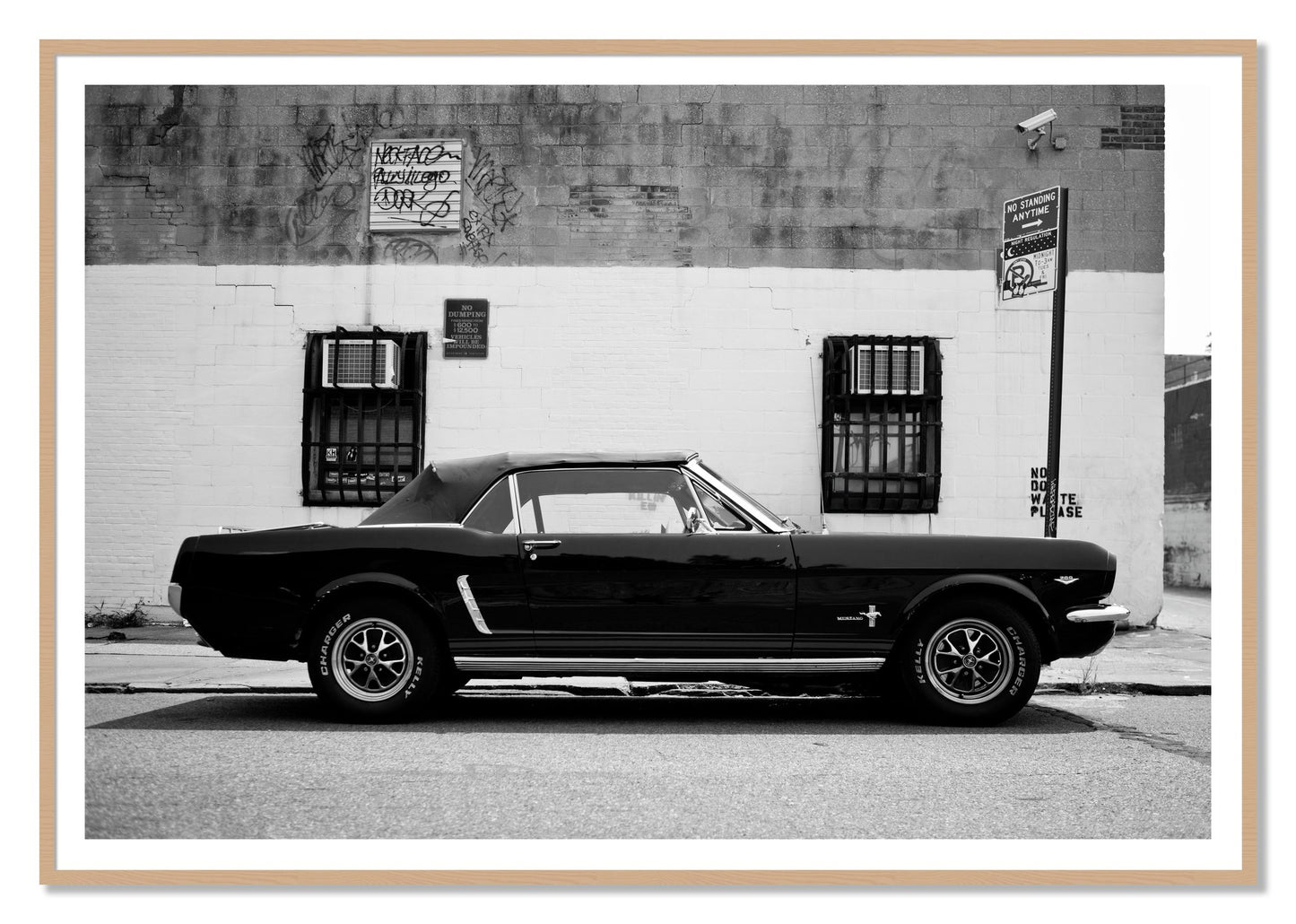 Framed photograph of Mustang by Dylan Ozanich, Oak frame, Borders
