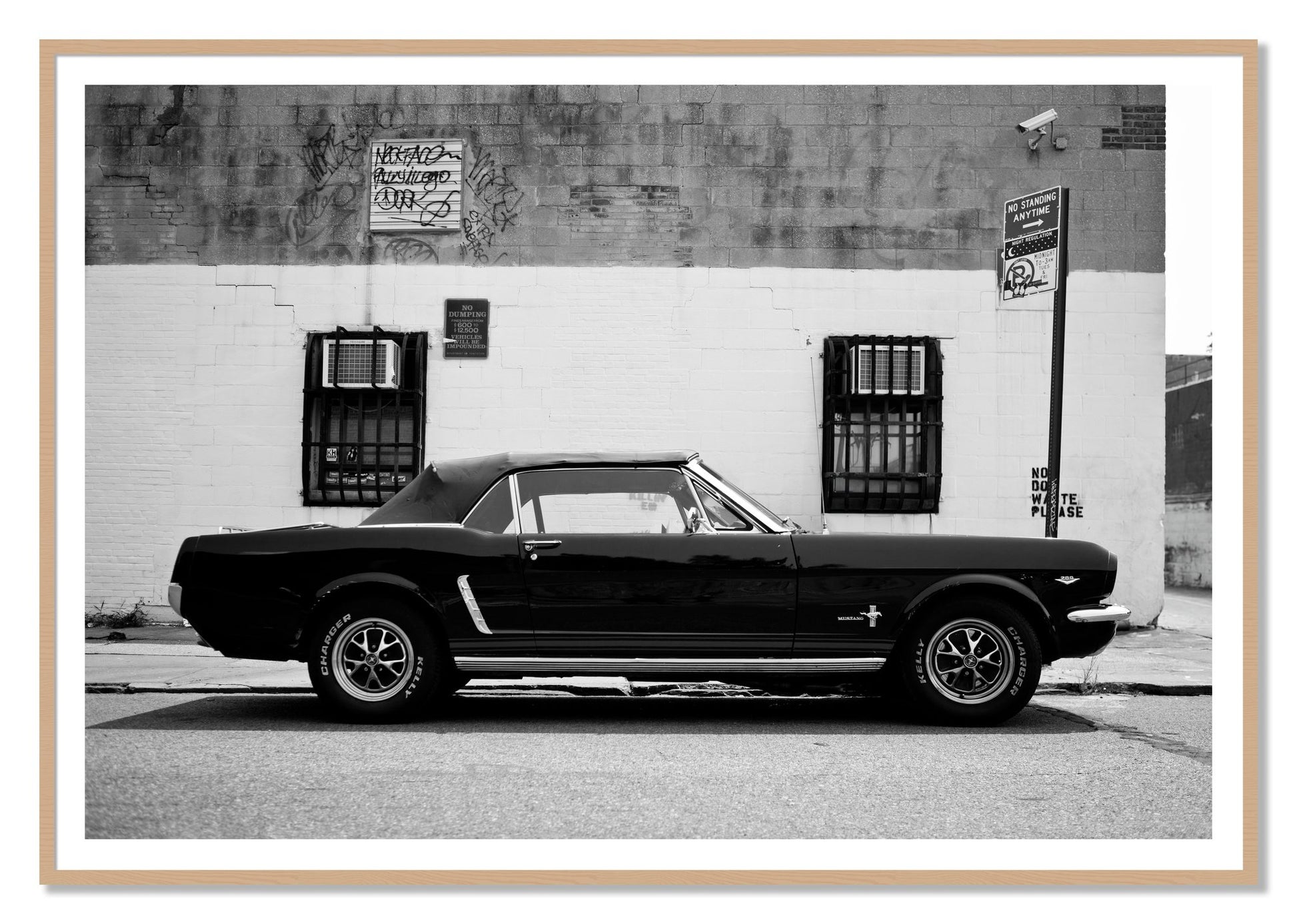 Framed photograph of Mustang by Dylan Ozanich, Oak frame, Borders