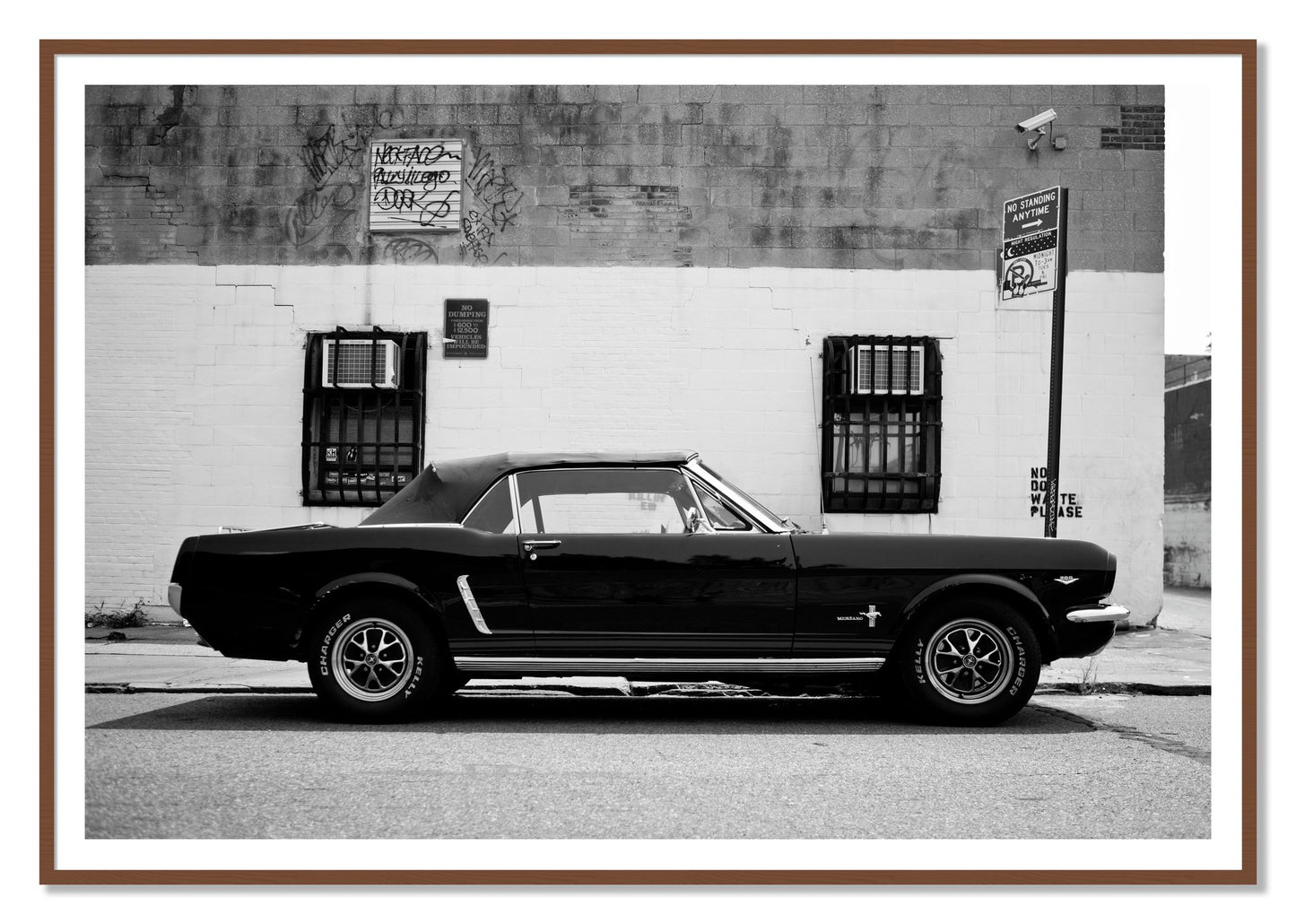 Framed photograph of Mustang by Dylan Ozanich, Walnut frame, Borders