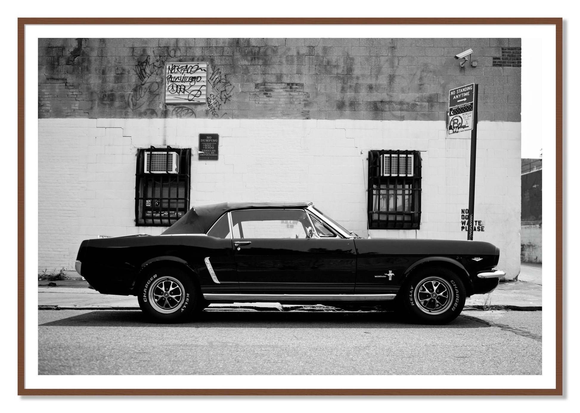 Framed photograph of Mustang by Dylan Ozanich, Walnut frame, Borders