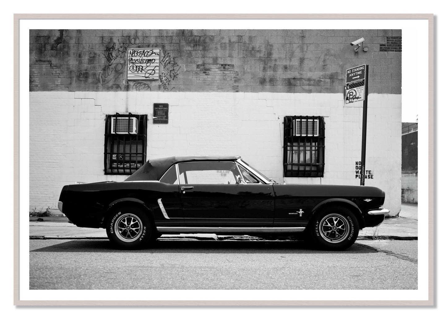 Framed photograph of Mustang by Dylan Ozanich, White Maple frame, Borders