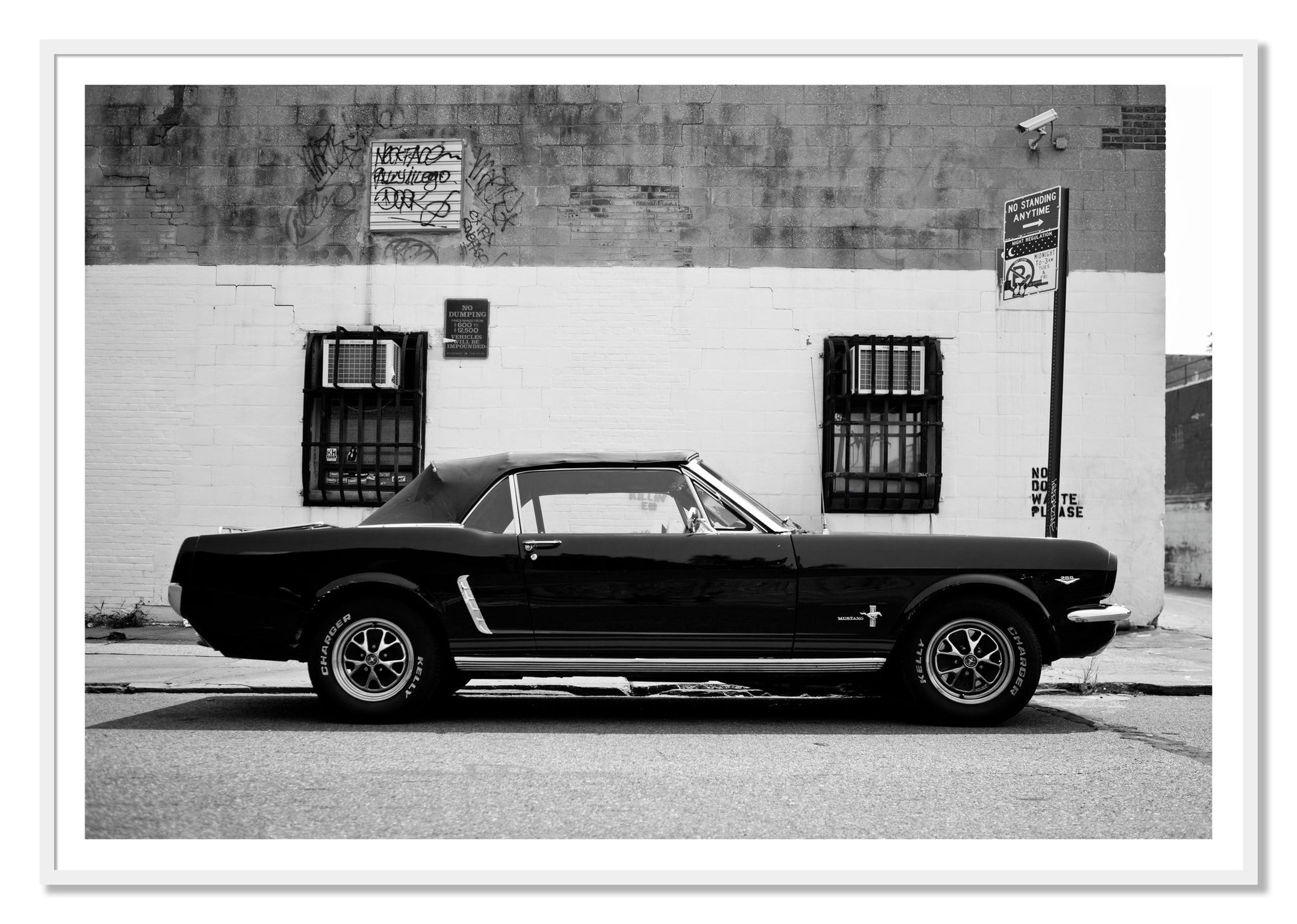 Framed photograph of Mustang by Dylan Ozanich, White frame, Borders