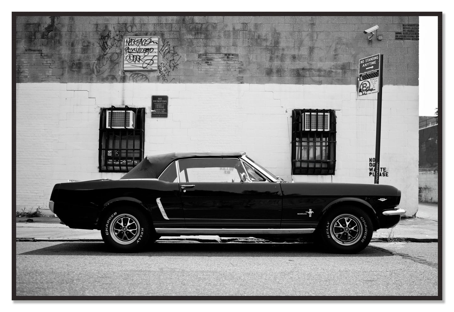 Framed photograph of Mustang by Dylan Ozanich, Black Walnut frame, Full Bleed
