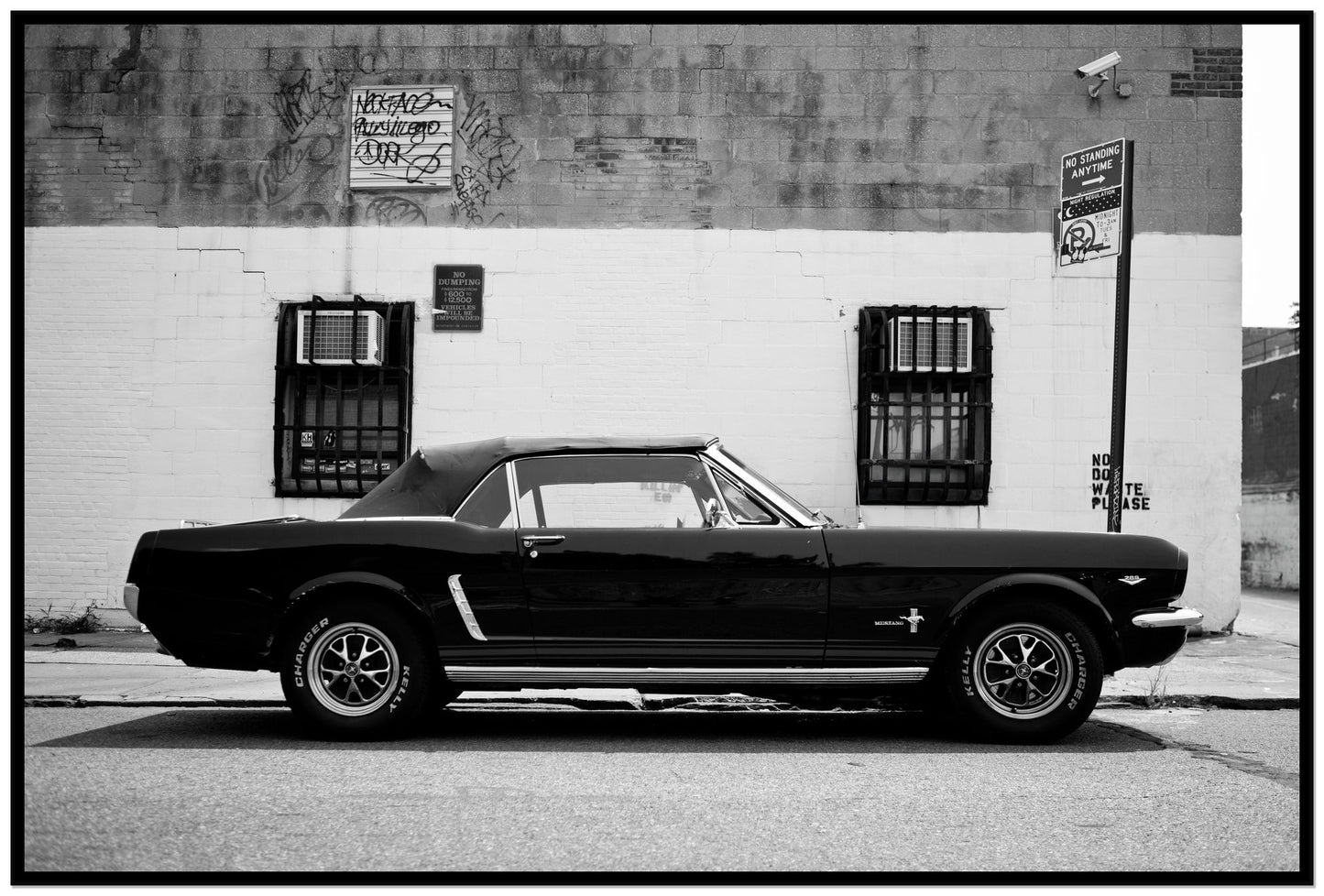 Framed photograph of Mustang by Dylan Ozanich, Black frame, Full Bleed
