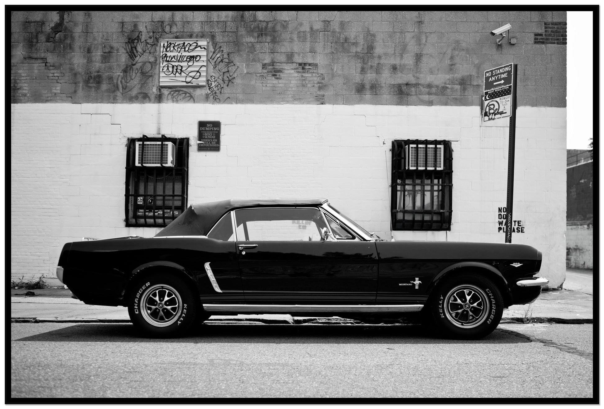 Framed photograph of Mustang by Dylan Ozanich, Black frame, Full Bleed