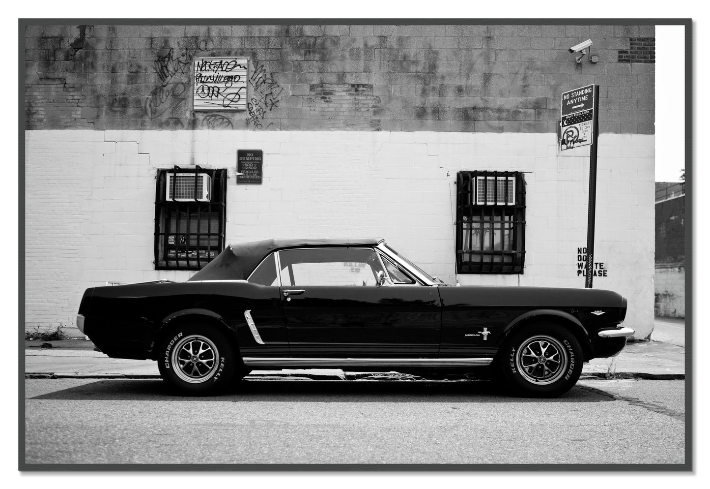 Framed photograph of Mustang by Dylan Ozanich, Grey frame, Full Bleed