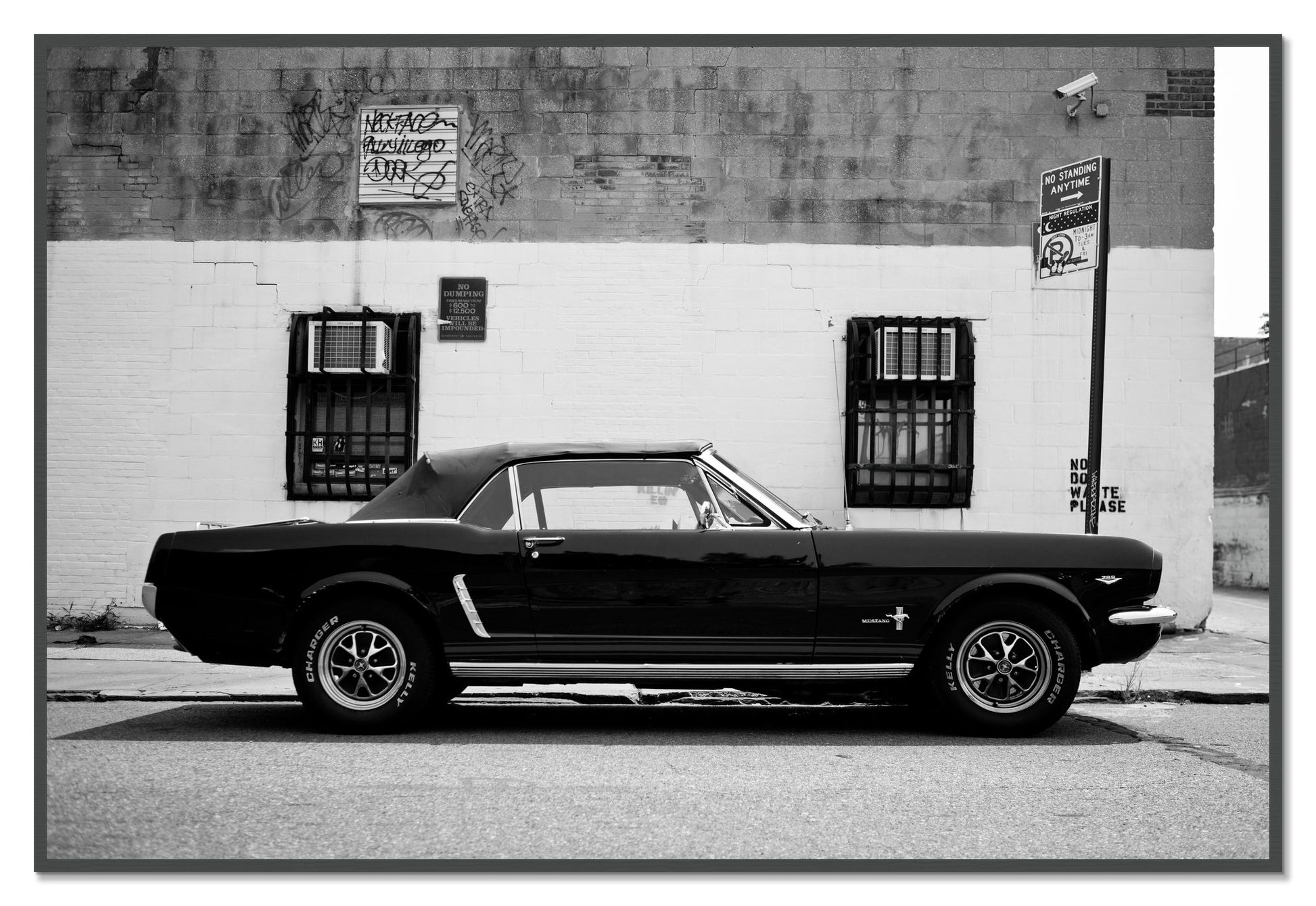Framed photograph of Mustang by Dylan Ozanich, Grey frame, Full Bleed