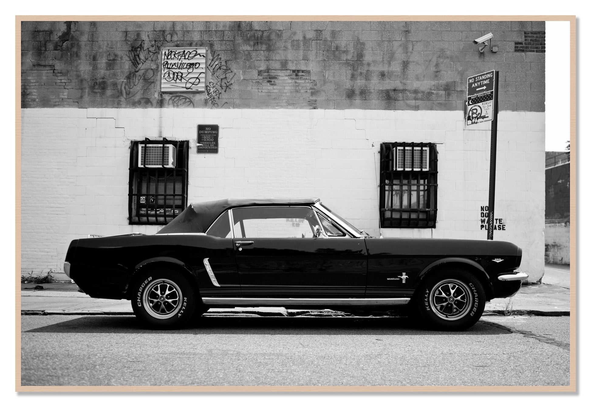 Framed photograph of Mustang by Dylan Ozanich, Maple frame, Full Bleed