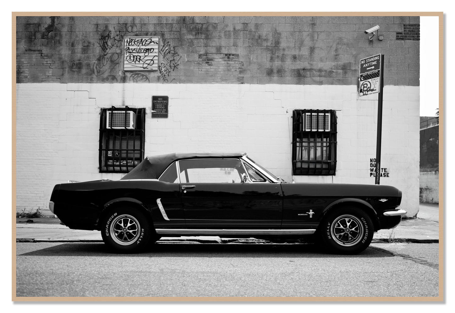 Framed photograph of Mustang by Dylan Ozanich, Oak frame, Full Bleed