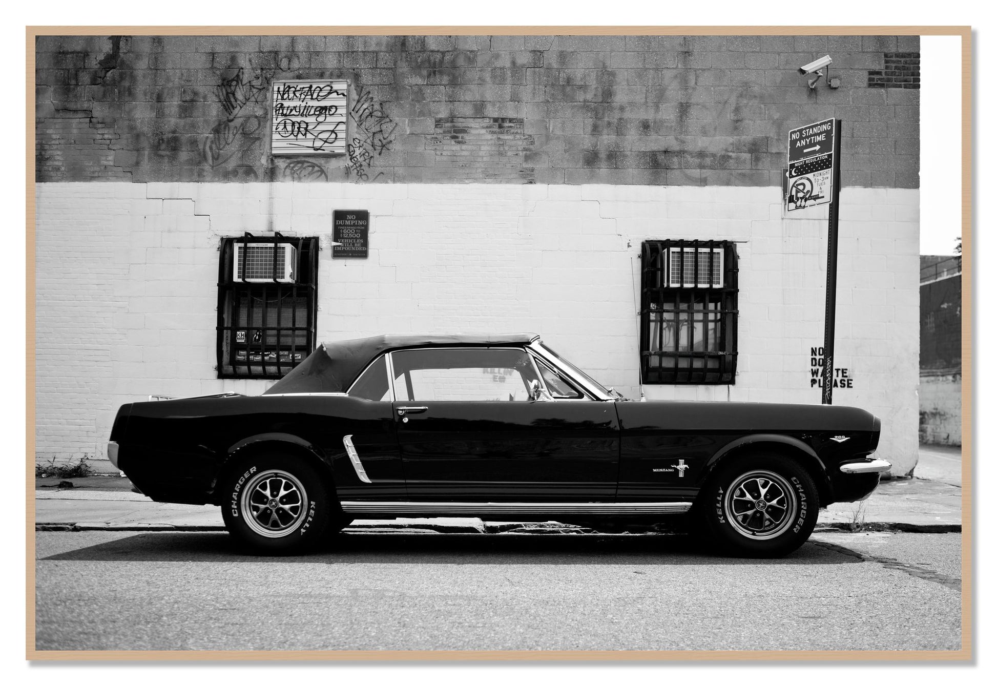 Framed photograph of Mustang by Dylan Ozanich, Oak frame, Full Bleed