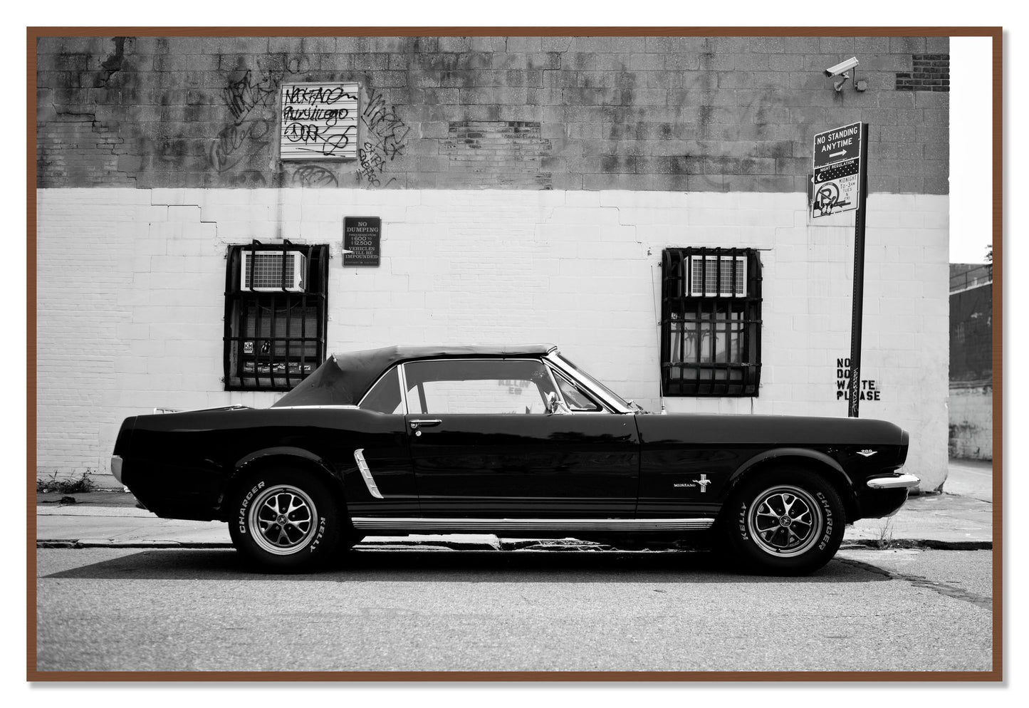 Framed photograph of Mustang by Dylan Ozanich, Walnut frame, Full Bleed