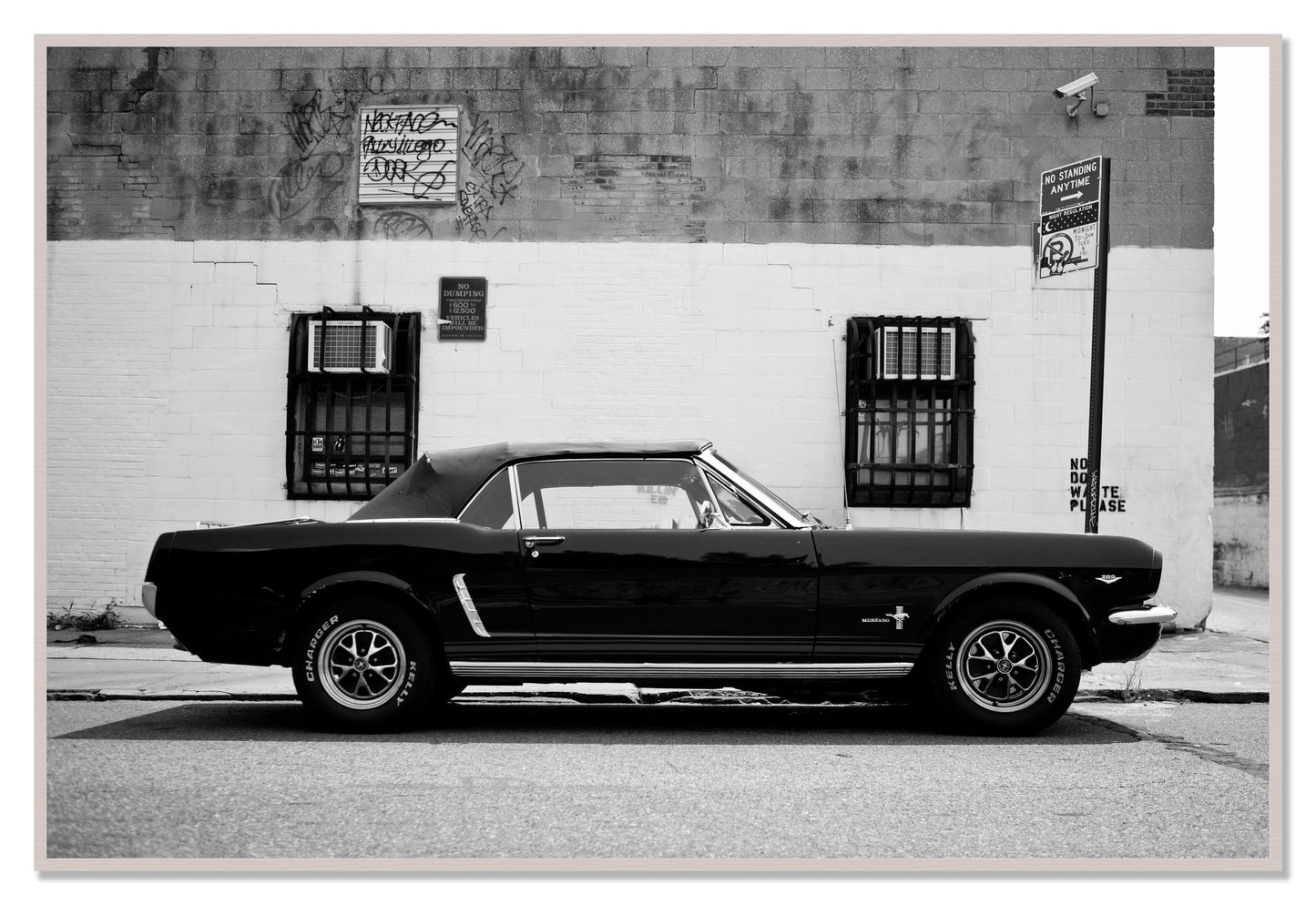 Framed photograph of Mustang by Dylan Ozanich, White Maple frame, Full Bleed
