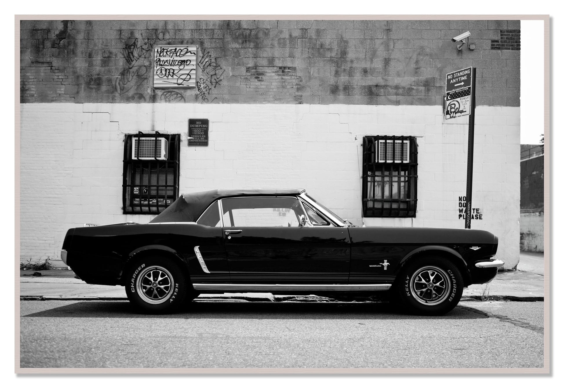 Framed photograph of Mustang by Dylan Ozanich, White Maple frame, Full Bleed