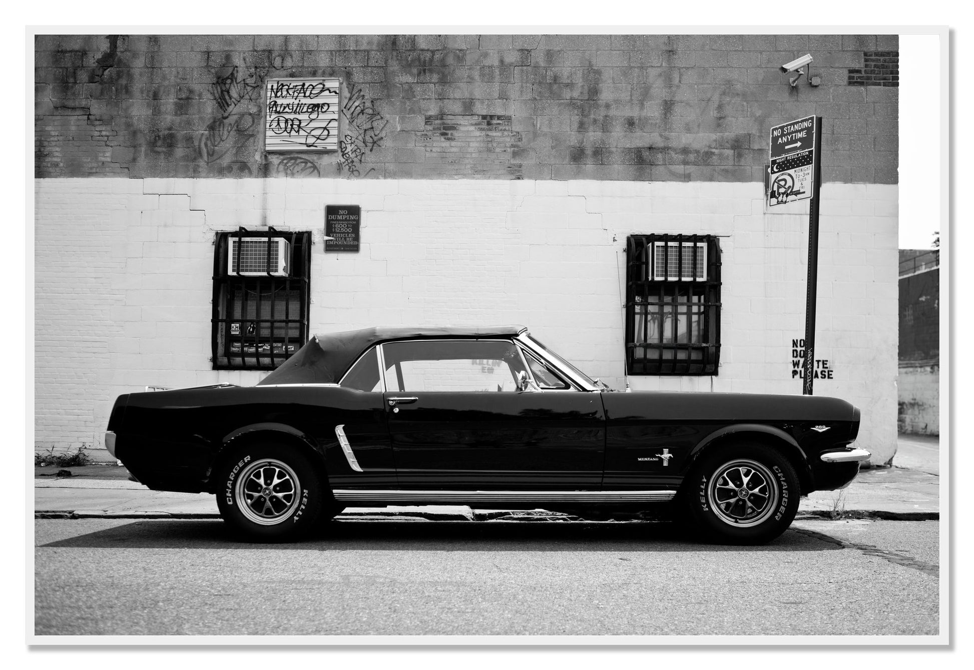 Framed photograph of Mustang by Dylan Ozanich, White frame, Full Bleed