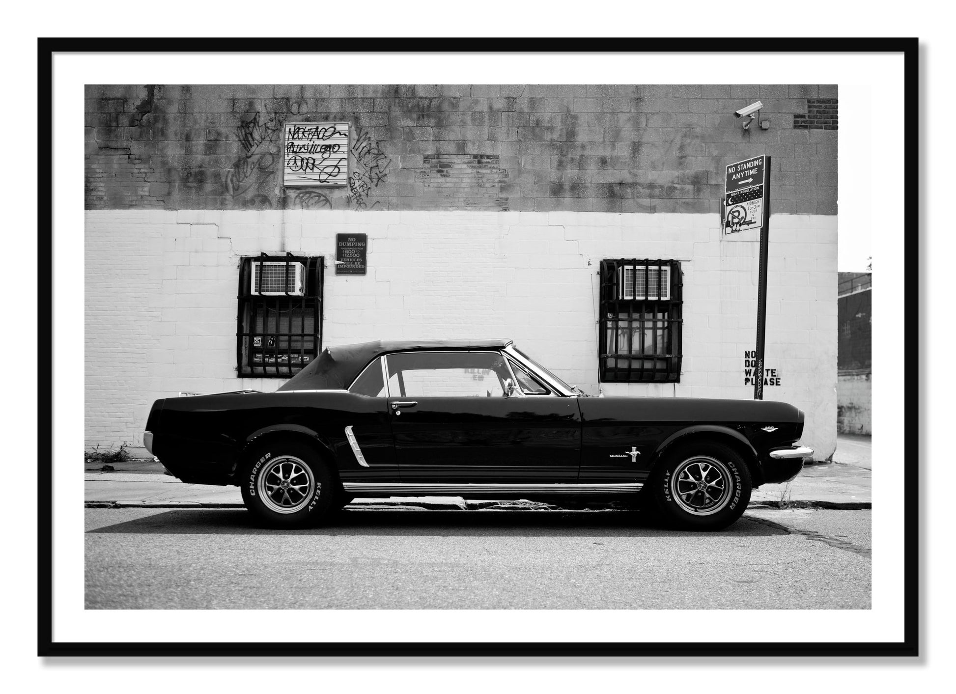 Framed photograph of Mustang by Dylan Ozanich, Black frame, Borders