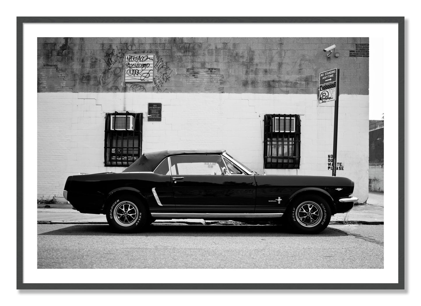 Framed photograph of Mustang by Dylan Ozanich, Grey frame, Borders