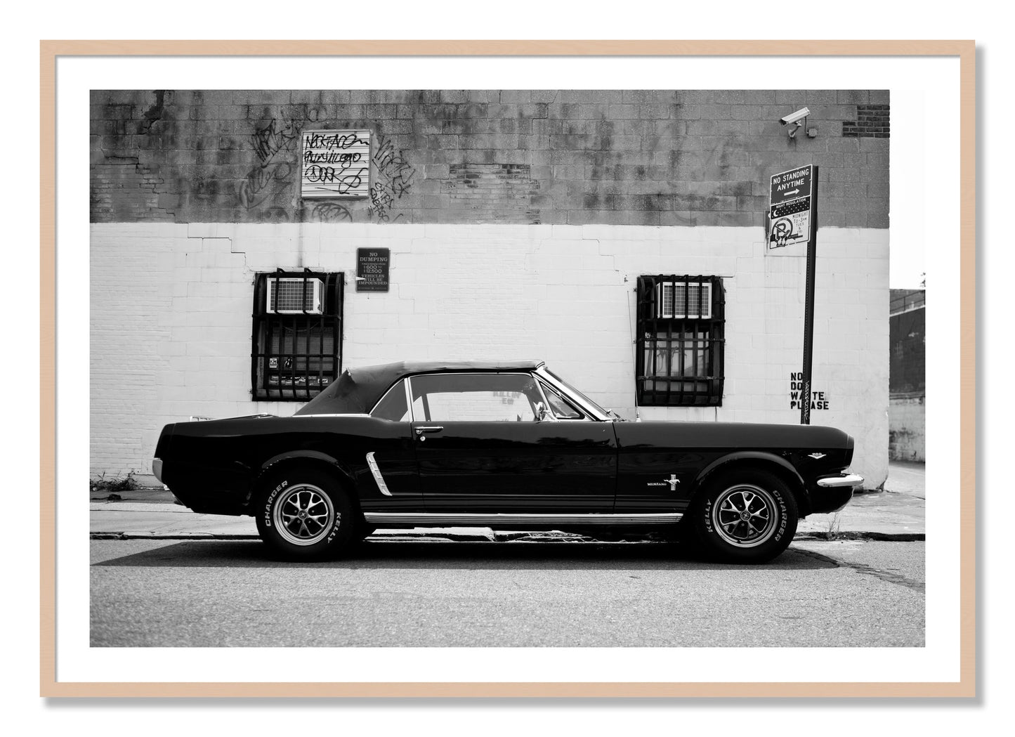 Framed photograph of Mustang by Dylan Ozanich, Maple frame, Borders