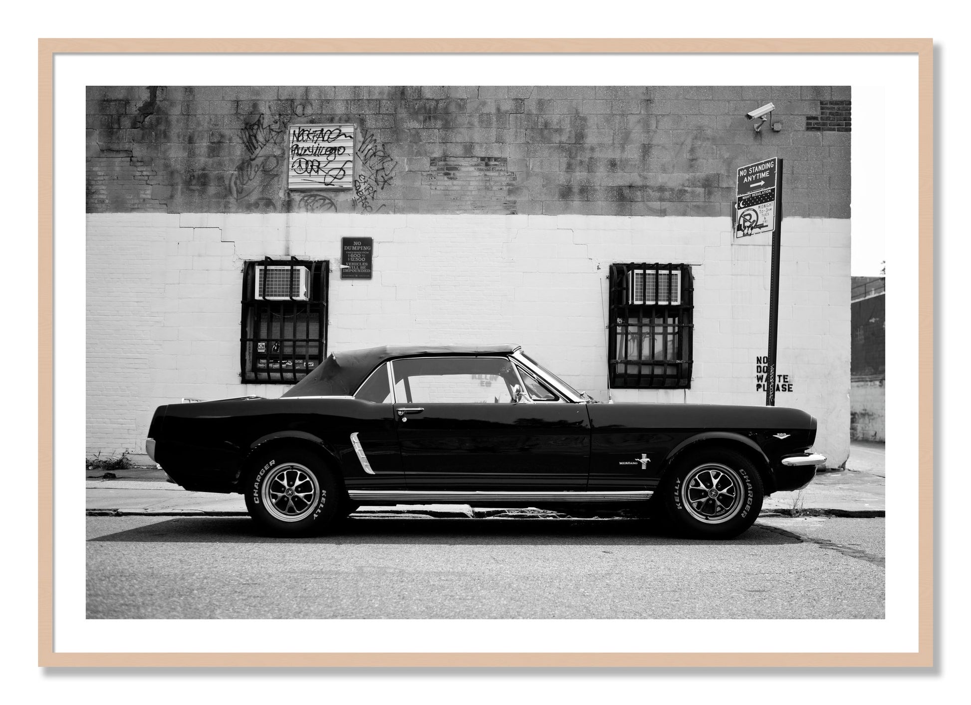 Framed photograph of Mustang by Dylan Ozanich, Maple frame, Borders