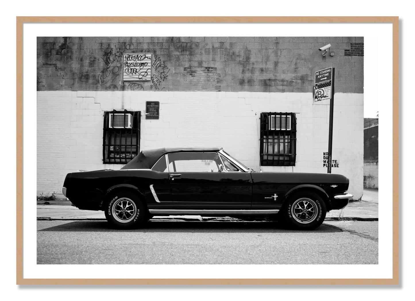 Framed photograph of Mustang by Dylan Ozanich, Oak frame, Borders