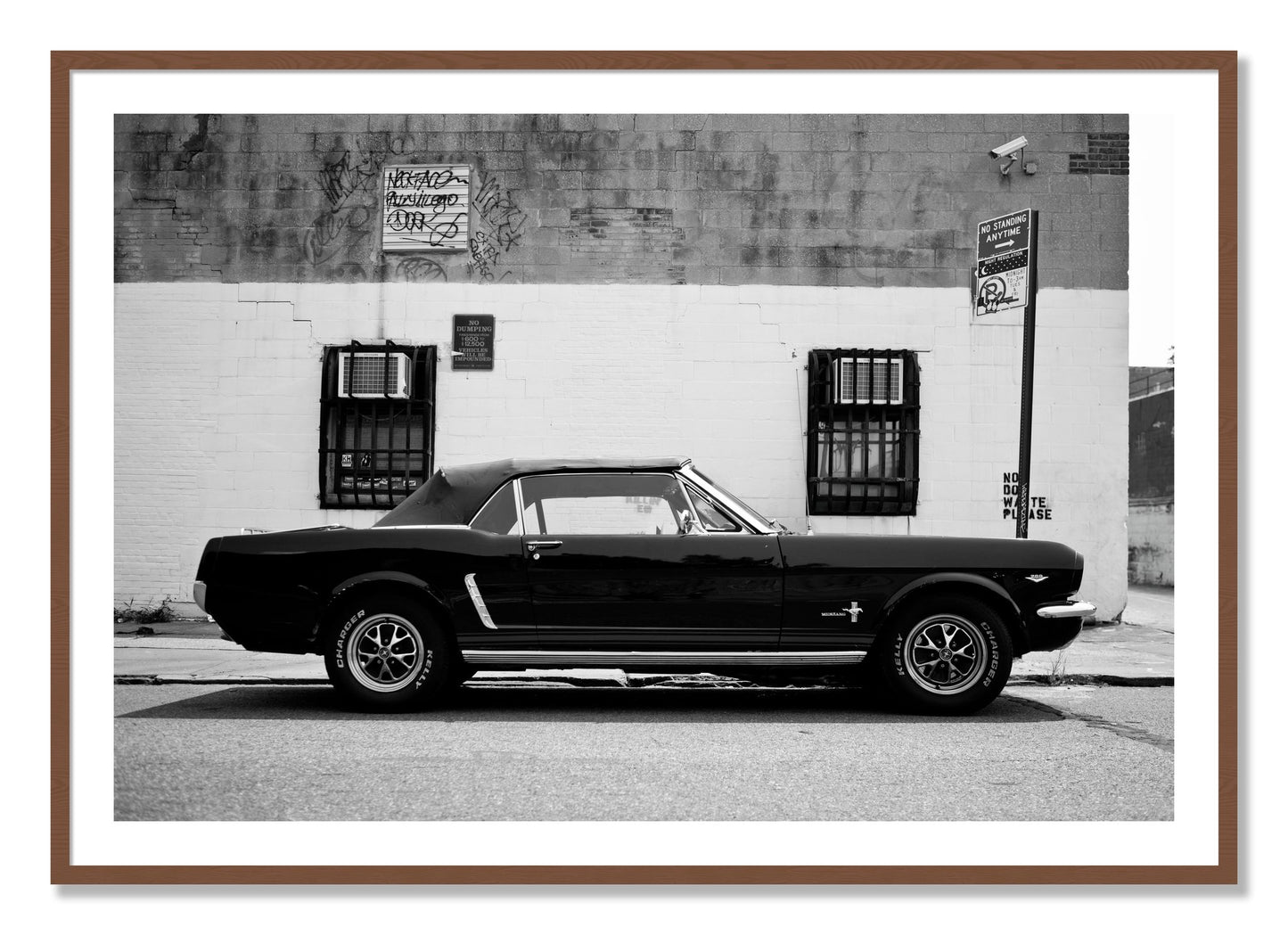 Framed photograph of Mustang by Dylan Ozanich, Walnut frame, Borders