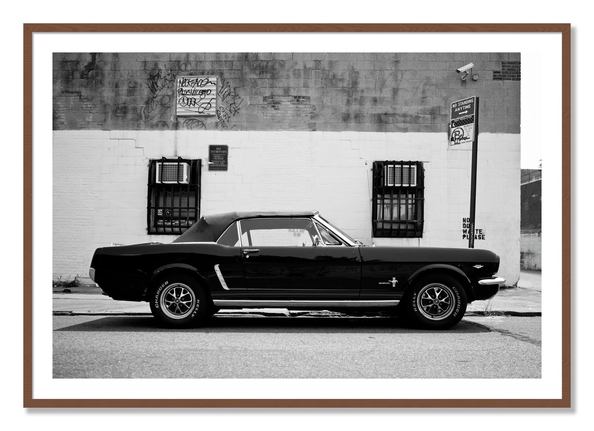 Framed photograph of Mustang by Dylan Ozanich, Walnut frame, Borders