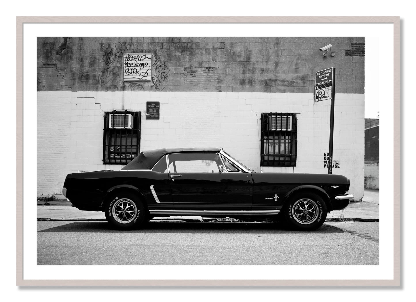 Framed photograph of Mustang by Dylan Ozanich, White Maple frame, Borders