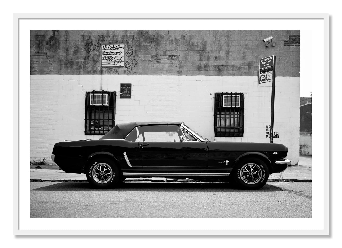 Framed photograph of Mustang by Dylan Ozanich, White frame, Borders
