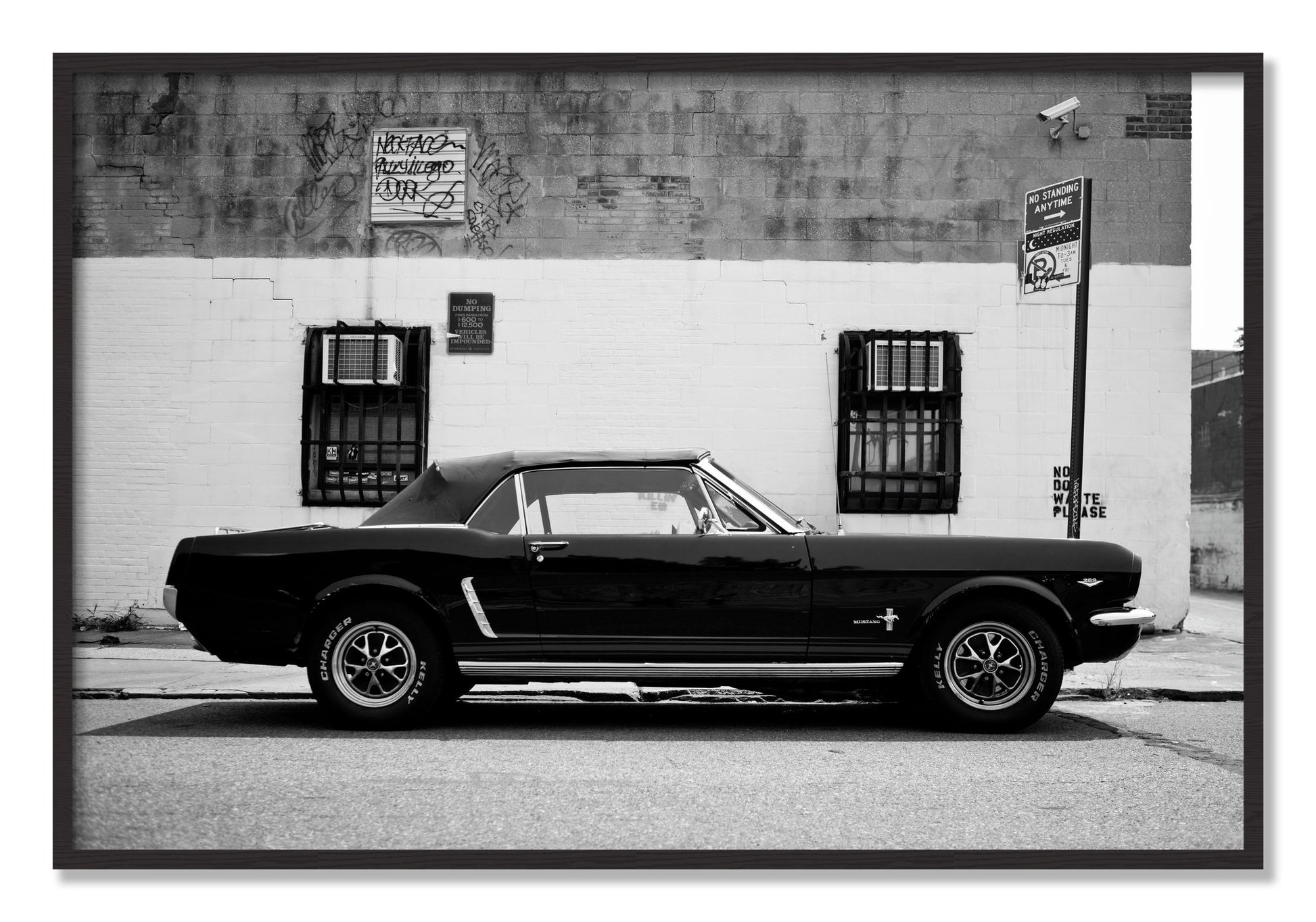 Framed photograph of Mustang by Dylan Ozanich, Black Walnut frame, Full Bleed