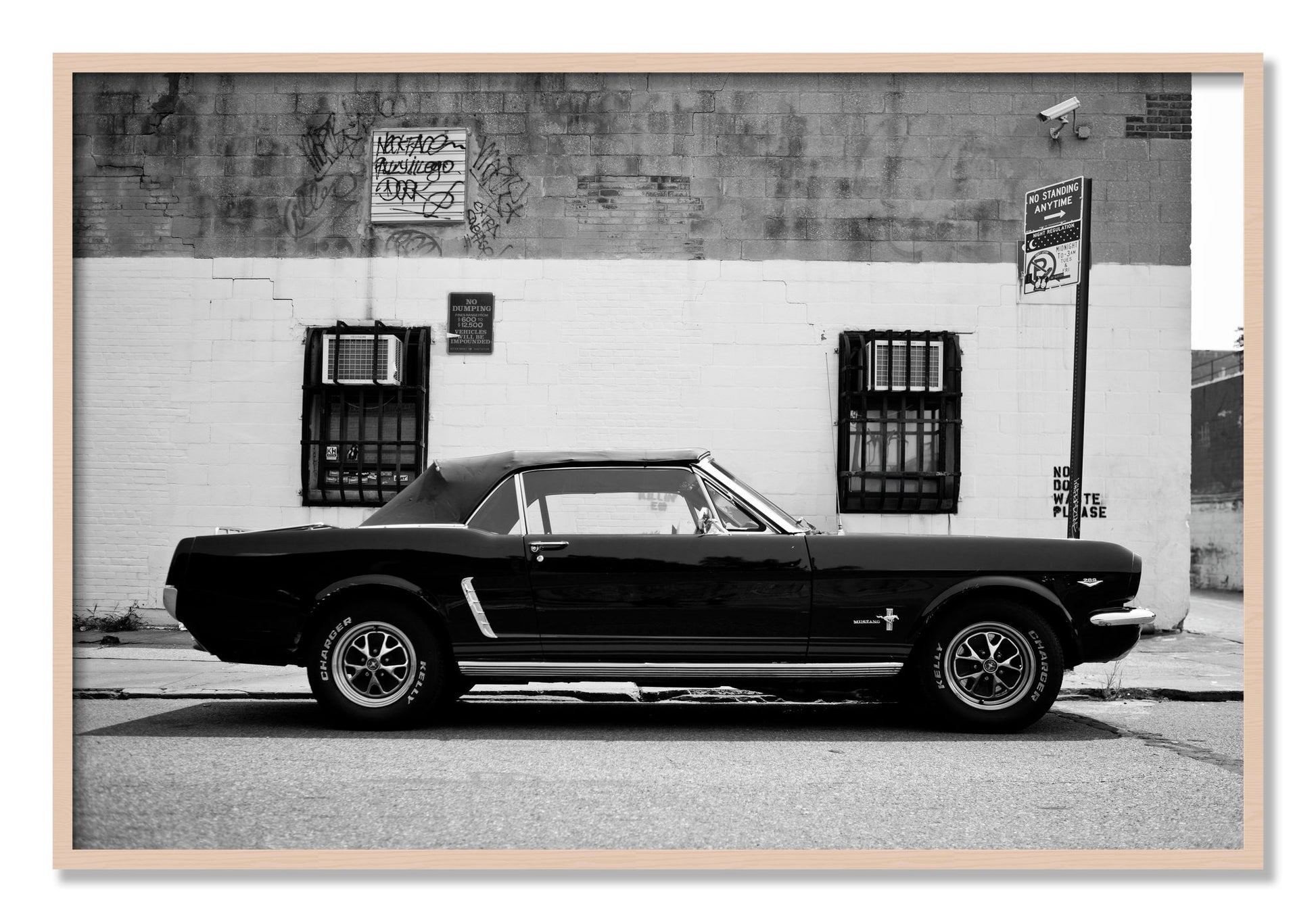 Framed photograph of Mustang by Dylan Ozanich, Maple frame, Full Bleed