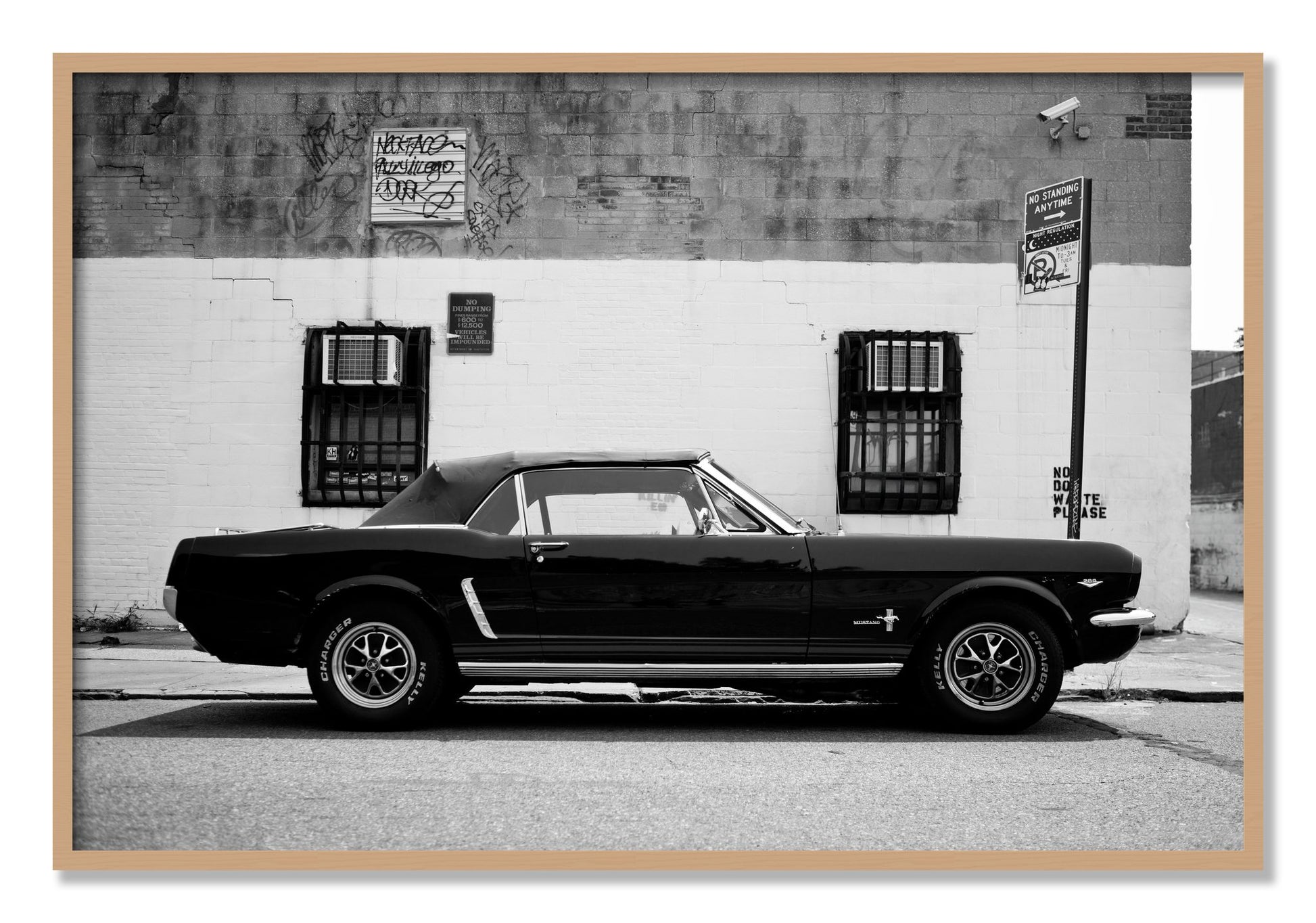 Framed photograph of Mustang by Dylan Ozanich, Oak frame, Full Bleed