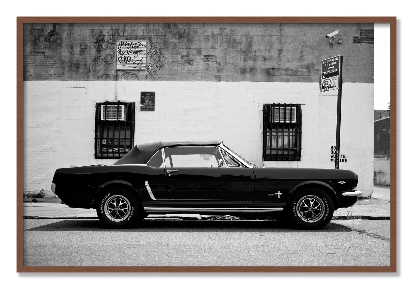 Framed photograph of Mustang by Dylan Ozanich, Walnut frame, Full Bleed