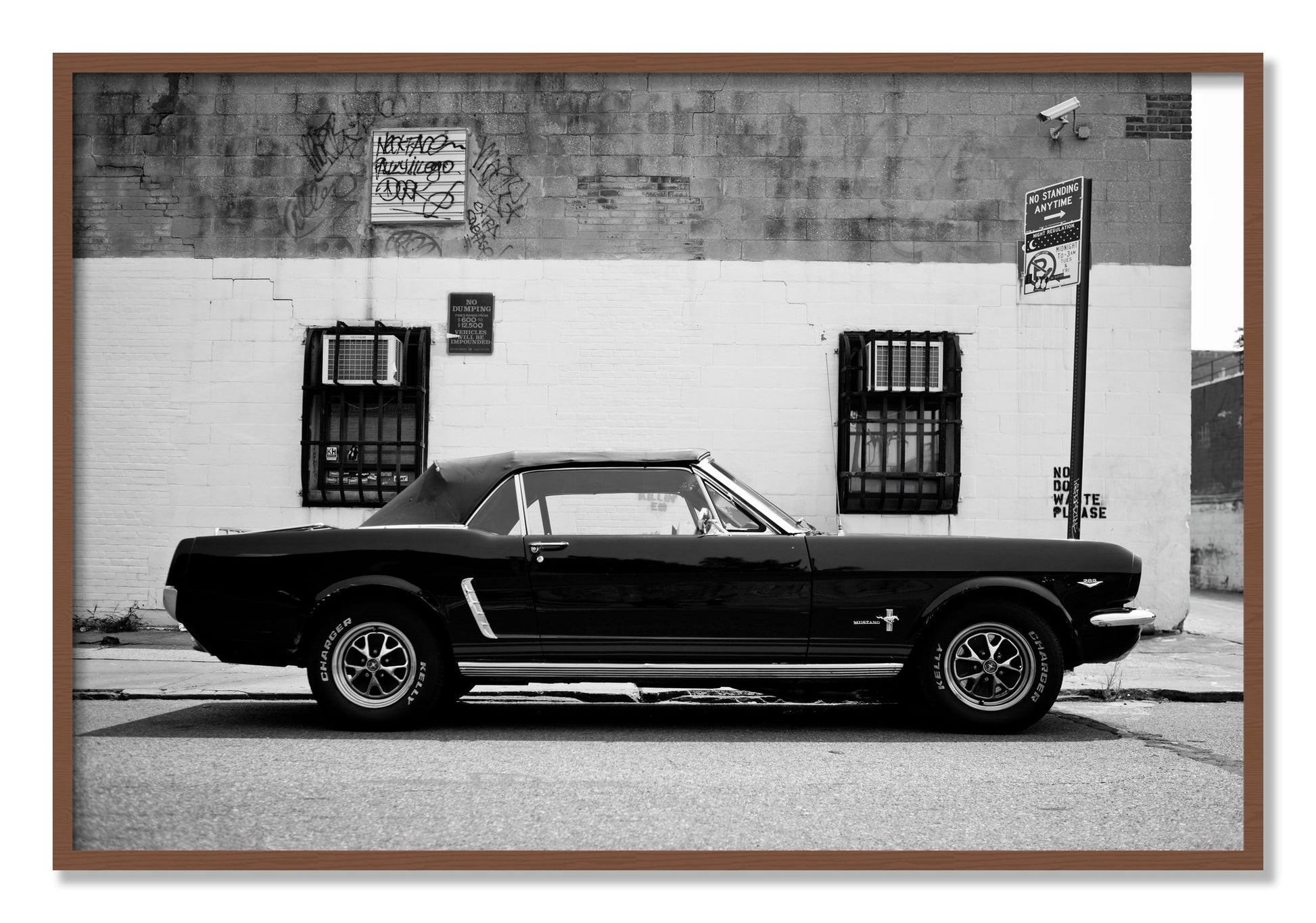 Framed photograph of Mustang by Dylan Ozanich, Walnut frame, Full Bleed