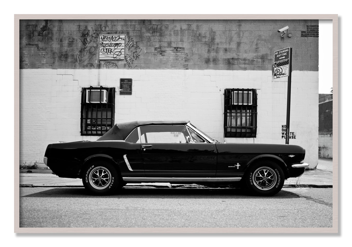 Framed photograph of Mustang by Dylan Ozanich, White Maple frame, Full Bleed