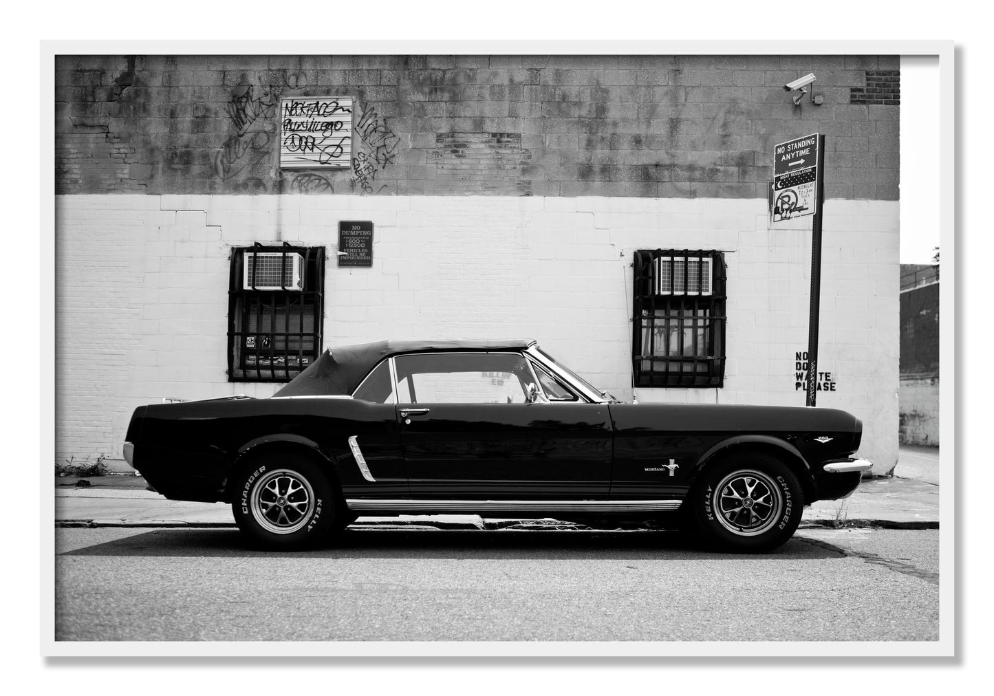 Framed photograph of Mustang by Dylan Ozanich, White frame, Full Bleed