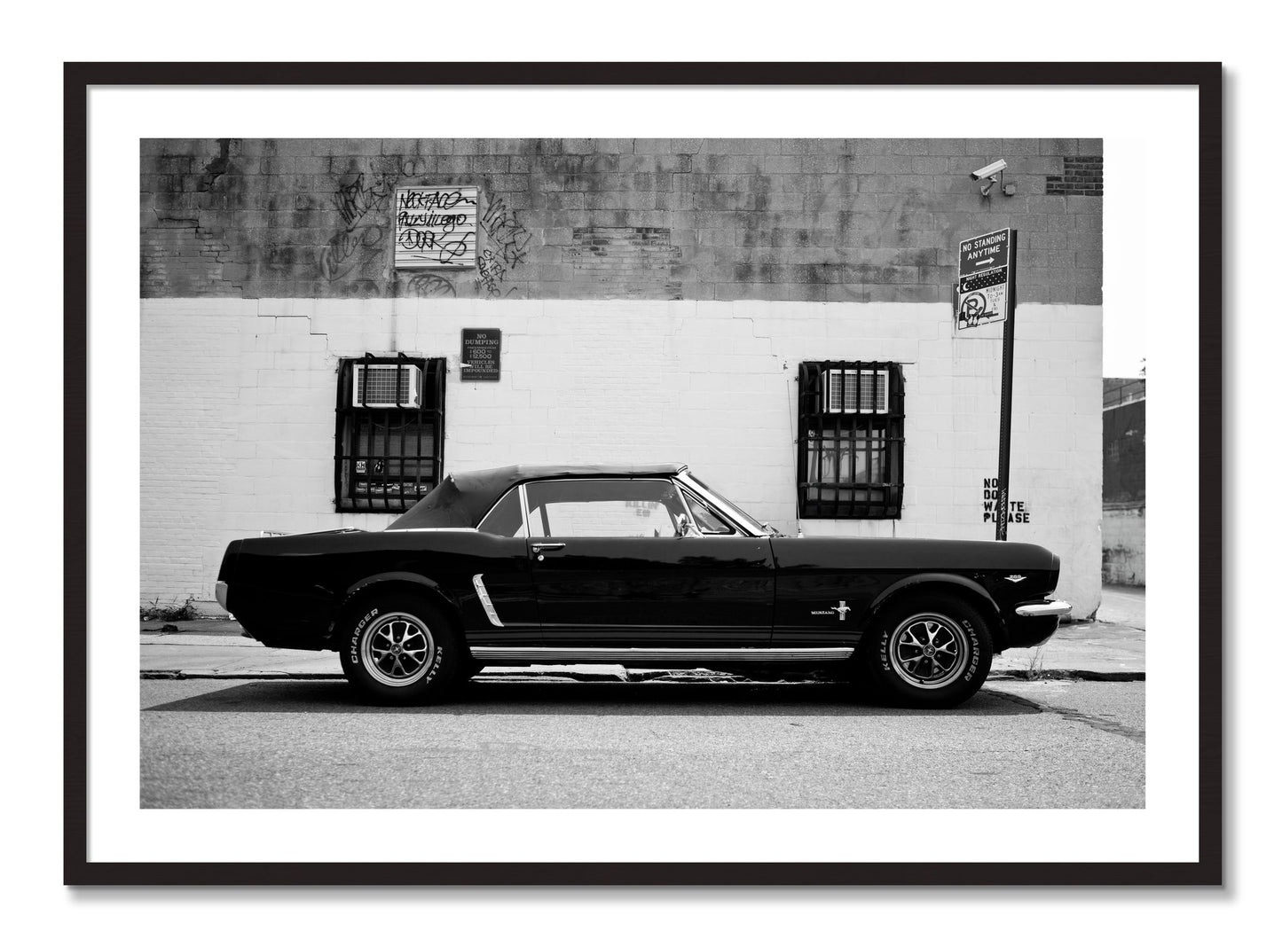 Framed photograph of Mustang by Dylan Ozanich, Black Walnut frame, Borders